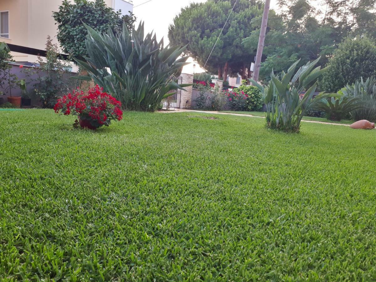 Studios Prodromidis Πρεβεζα Preveza Bagian luar foto